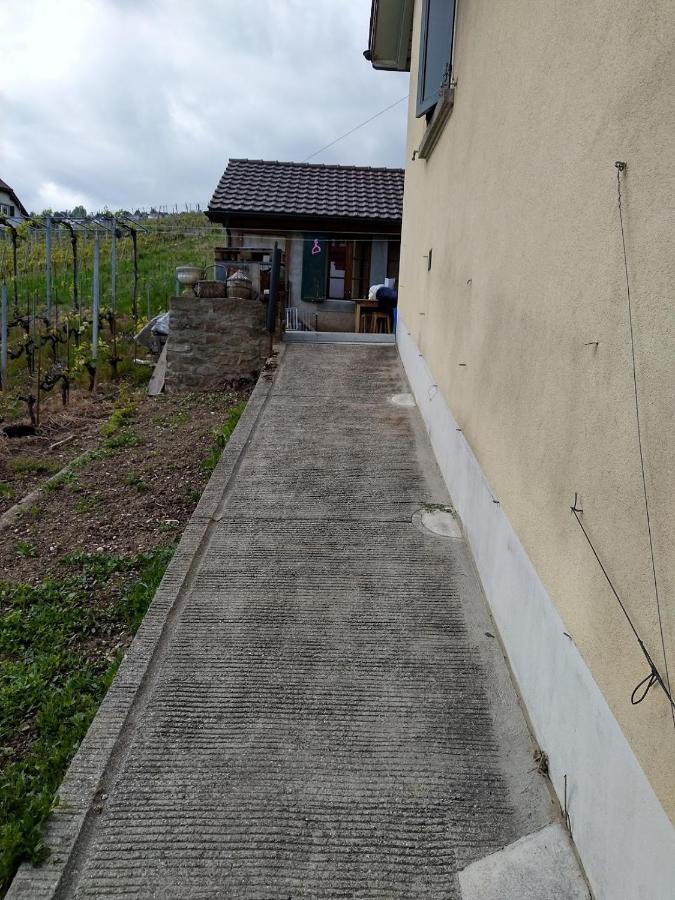 Charmante Maison Au Coeur Du Lavaux, Cully, Cuisine, Wifi, Les Echalas Kültér fotó